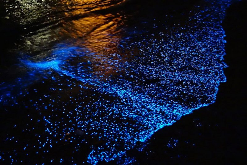Светящийся планктон на Мальдивах